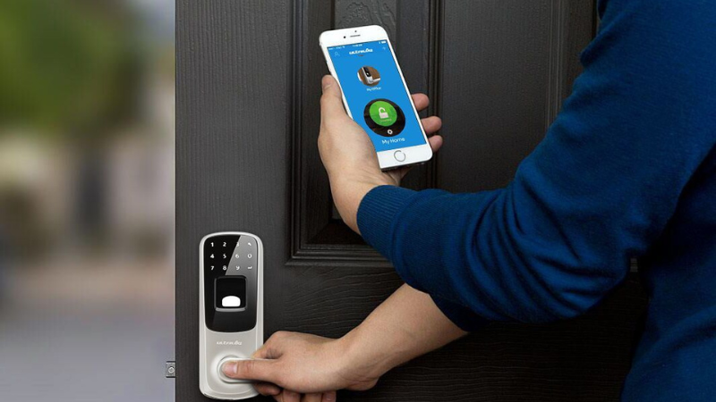 Untitled x px Untitled x px